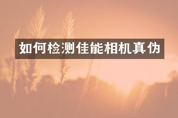如何检测佳能相机真伪