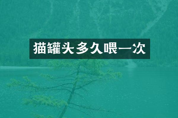 猫罐头多久喂一次