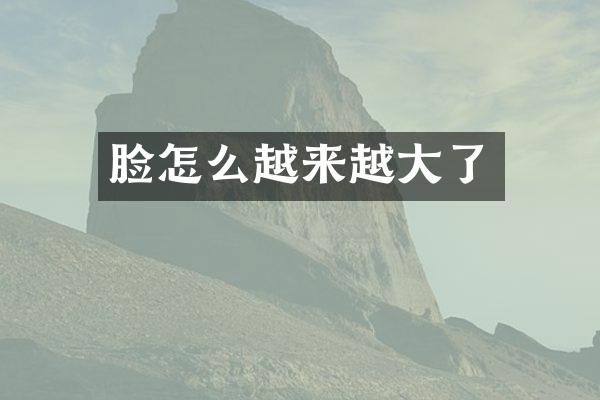 脸怎么越来越大了