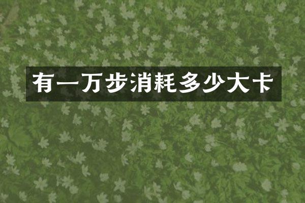 有一万步消耗多少大卡