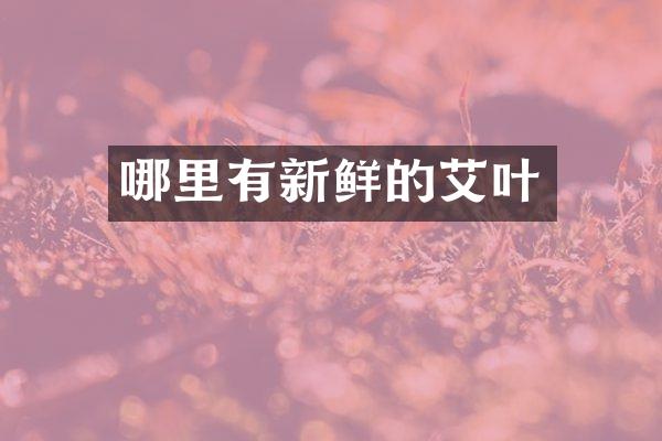 哪里有新鲜的艾叶