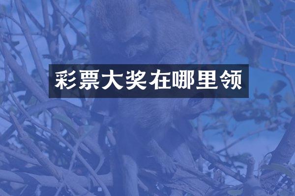 彩票大奖在哪里领