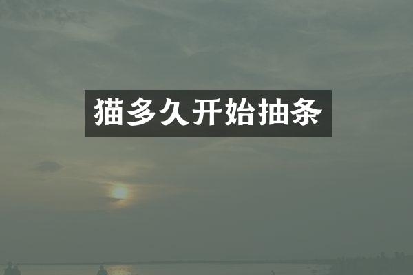 猫多久开始抽条