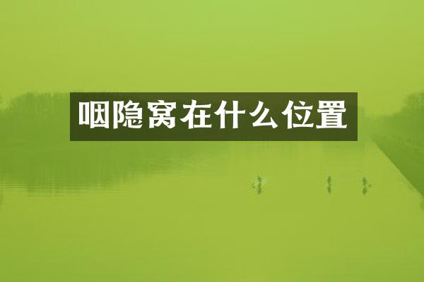 咽隐窝在什么位置