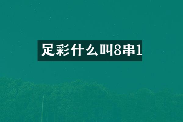 什么叫8串1