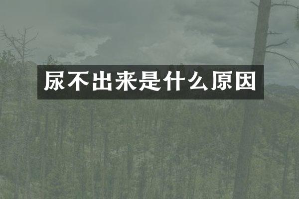 尿不出来是什么原因