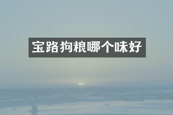 宝路哪个味好