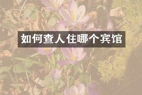 如何查人住哪个宾馆