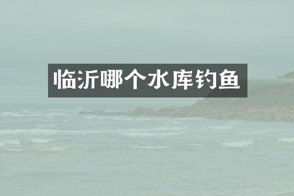 临沂哪个水库钓鱼