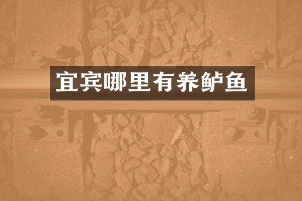 宜宾哪里有养鲈鱼