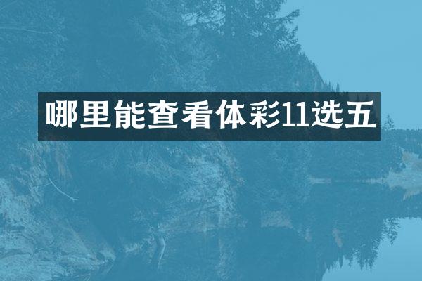 哪里能查看体彩11选五
