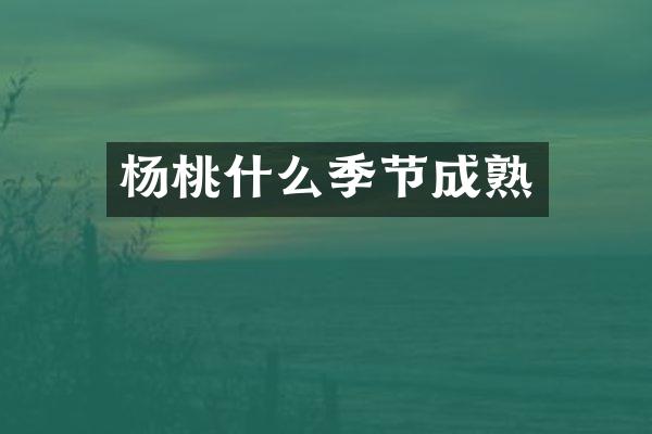 杨桃什么季节成熟