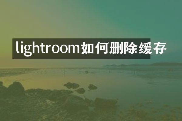 lightroom如何删除缓存