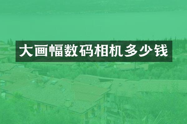 大画幅数码相机多少钱