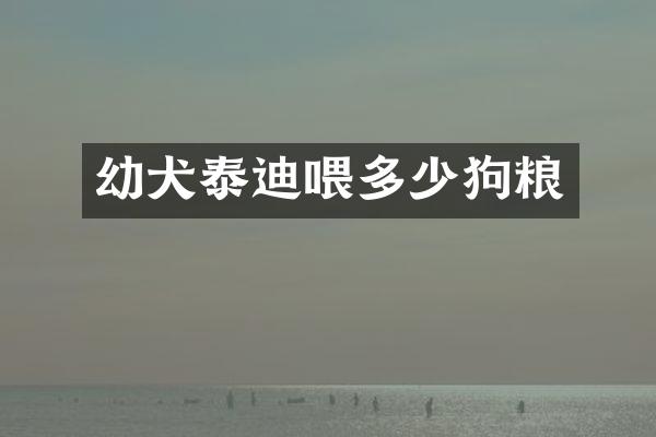 幼犬泰迪喂多少