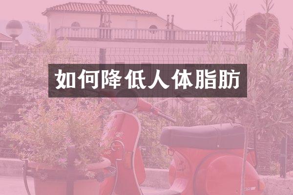 如何降低人体脂肪