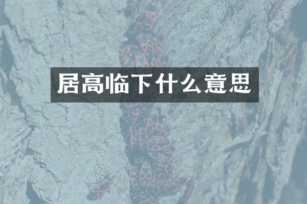 居高临下什么意思