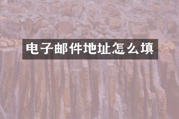 电子邮件地址怎么填