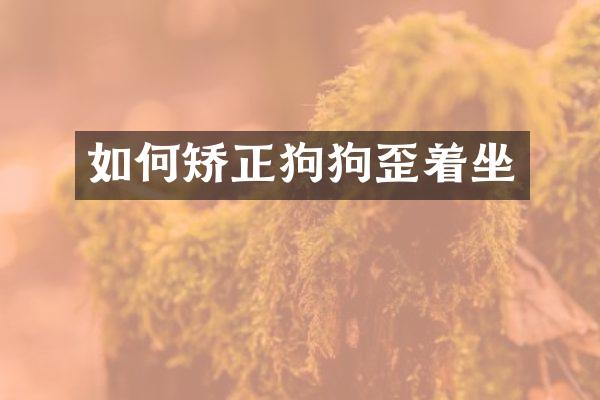 如何矫正狗狗歪着坐