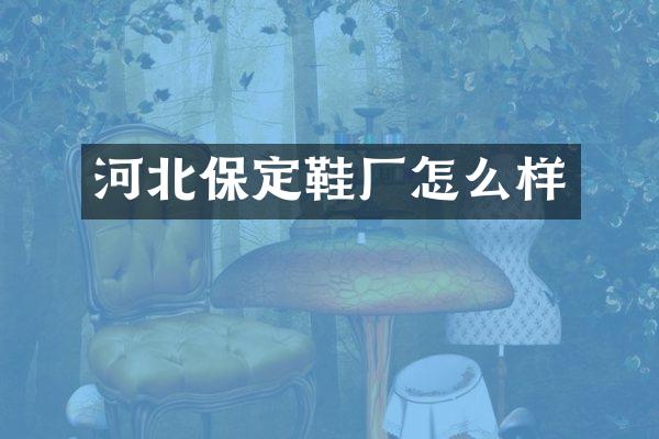 河北保定鞋厂怎么样