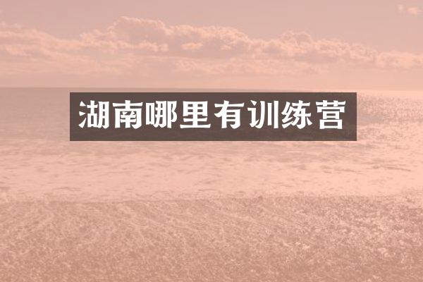 湖南哪里有训练营