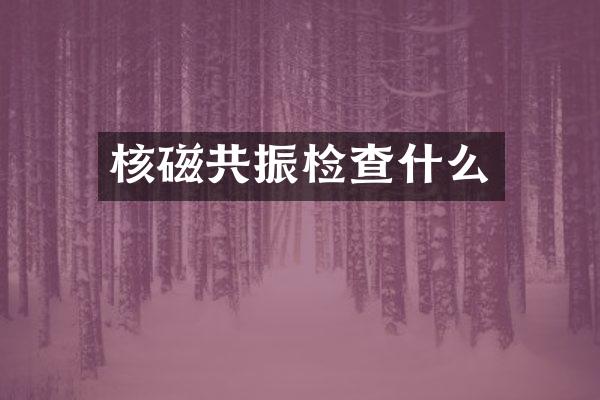 核磁共振检查什么