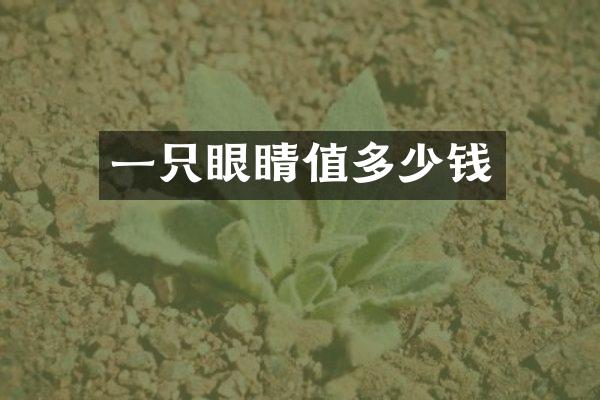 一只眼睛值多少钱