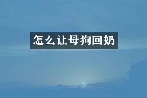 怎么让母狗回奶