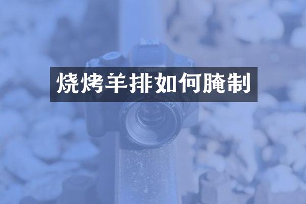 烧烤羊排如何腌制