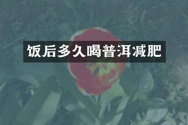 饭后多久喝普洱减肥