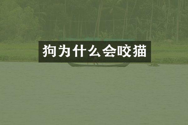 狗为什么会咬猫