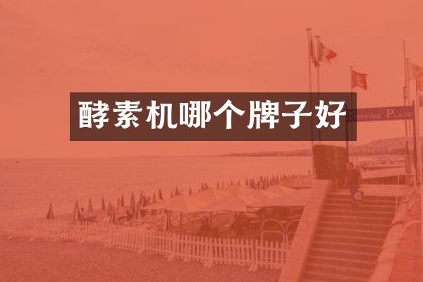 酵素机哪个牌子好