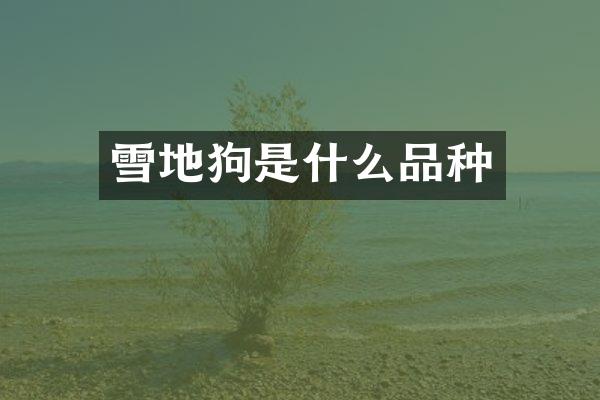 雪地狗是什么品种