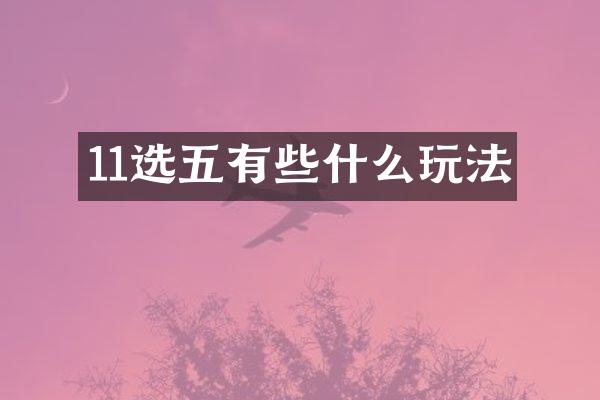 11选五有些什么玩法