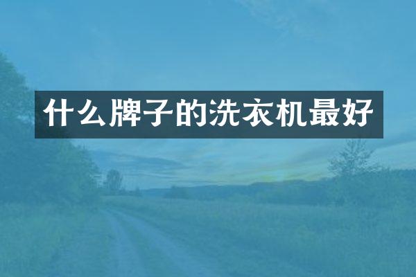什么牌子的洗衣机最好