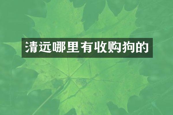 清远哪里有收购狗的