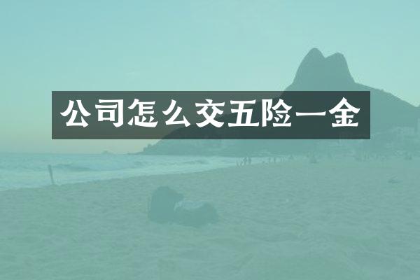 公司怎么交五险一金