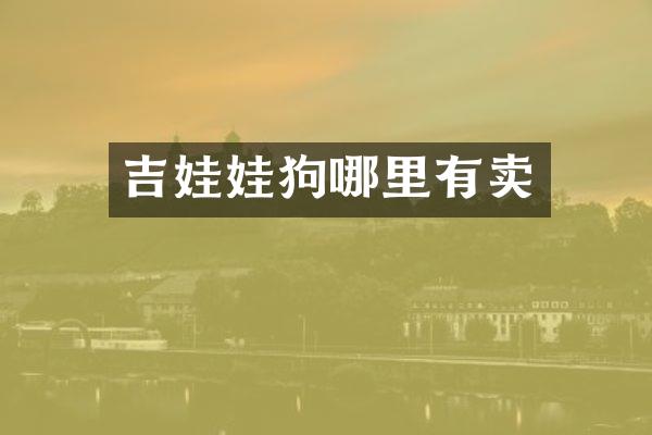 吉娃娃狗哪里有卖