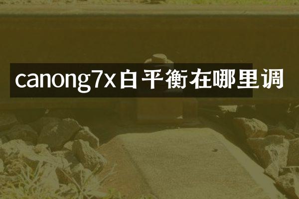 canong7x白平衡在哪里调