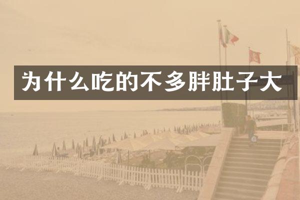 为什么吃的不多胖肚子大