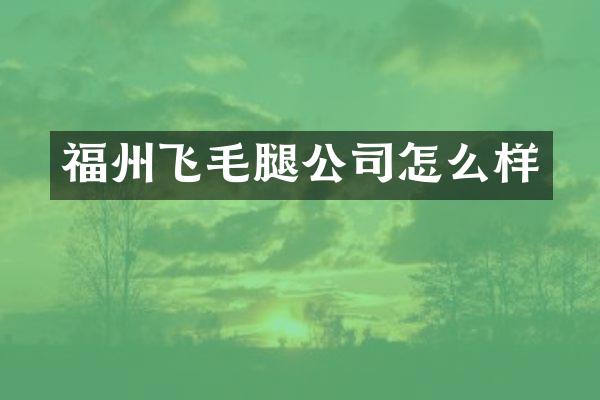 福州飞毛腿公司怎么样