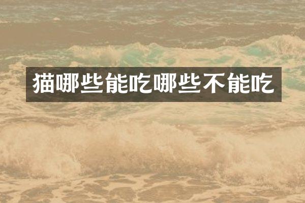 猫哪些能吃哪些不能吃