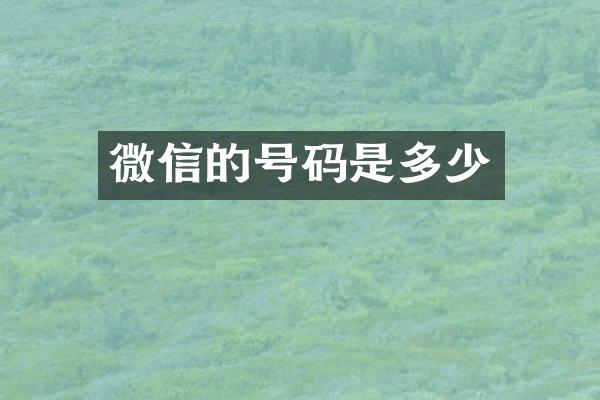 微信的号码是多少
