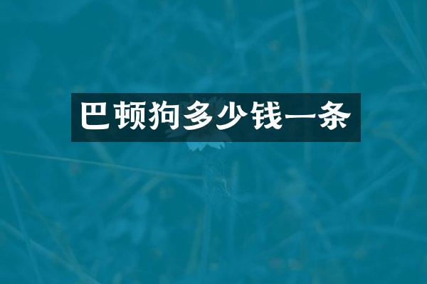 巴顿狗多少钱一条
