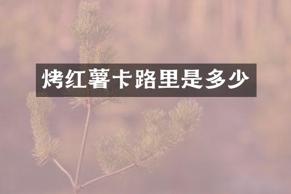 烤红薯卡路里是多少