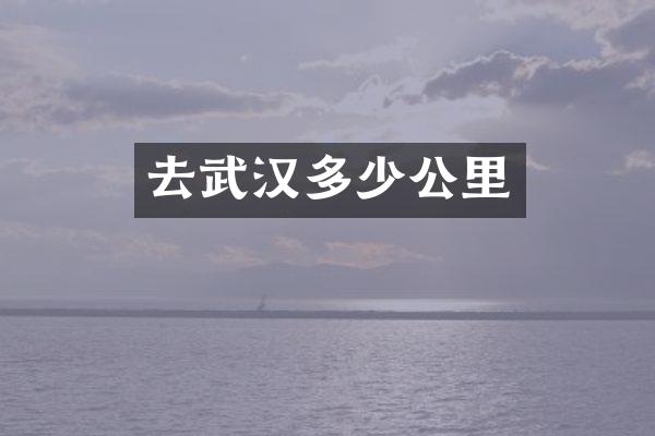 去武汉多少公里