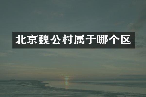 北京魏公村属于哪个区