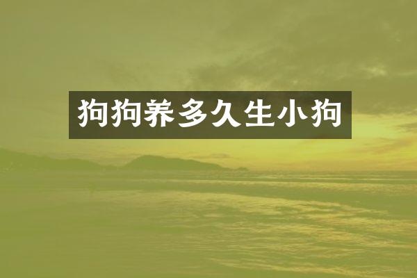 狗狗养多久生小狗