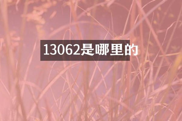 13062是哪里的