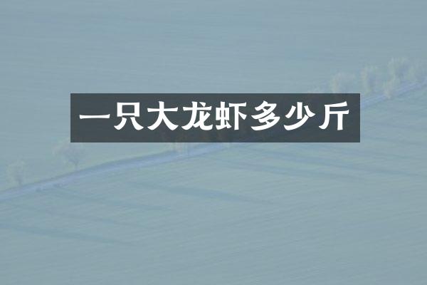 一只大龙虾多少斤